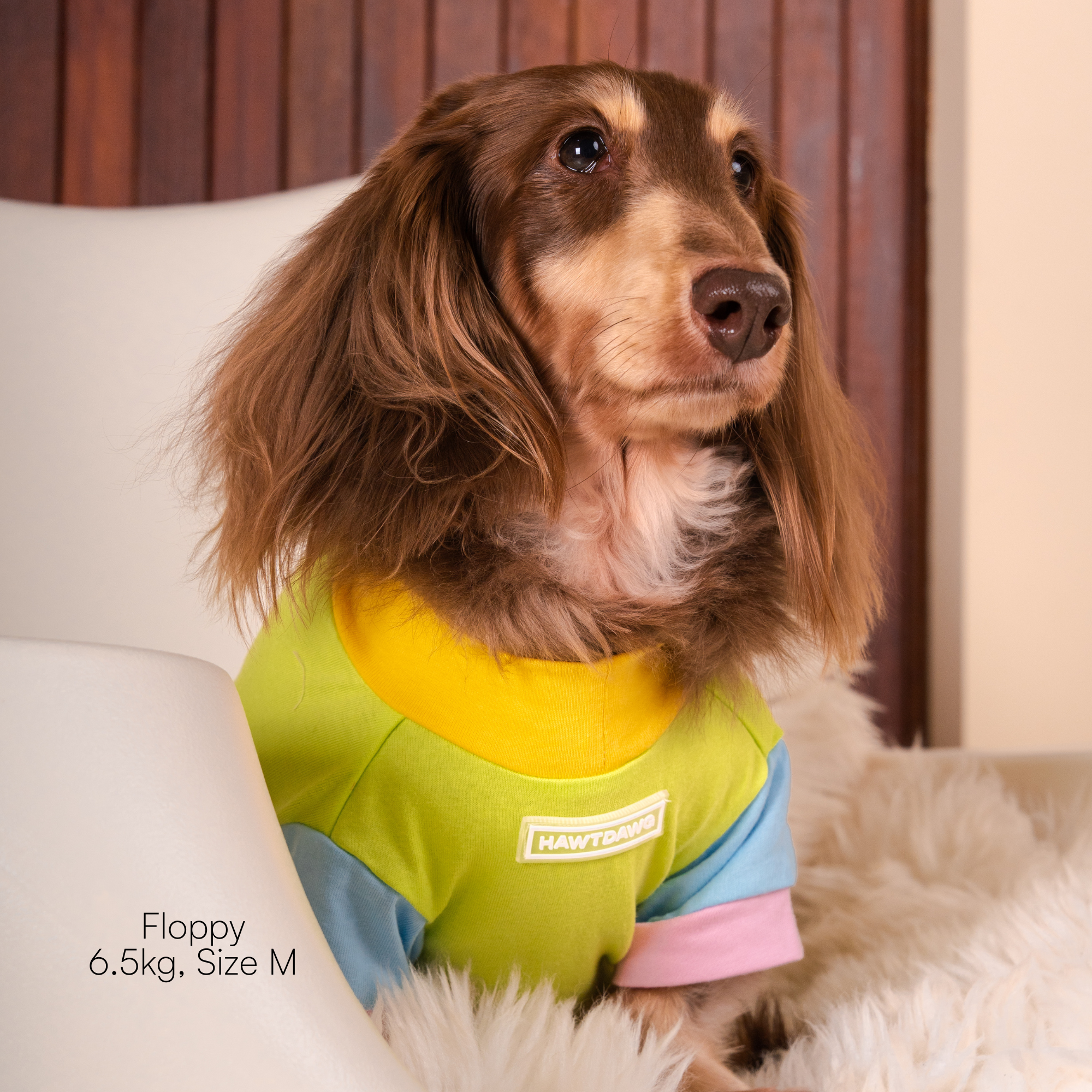 COLOUR-BLOCK COCO
