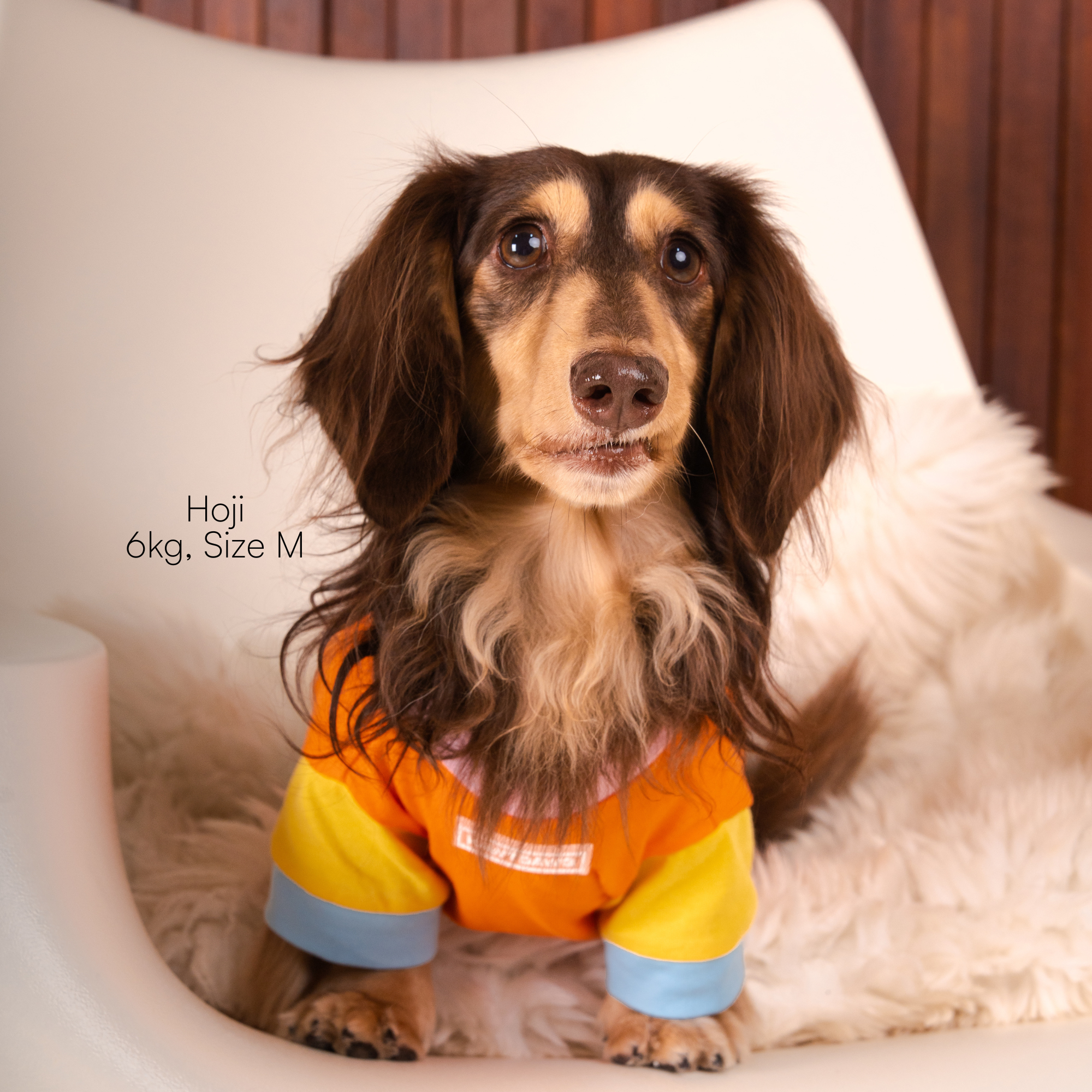 COLOUR-BLOCK COCO