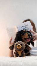 Load image into Gallery viewer, MINI.ME Plush Pal | Dachshund in BLACK &amp; TAN
