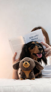 MINI.ME Plush Pal | Dachshund in BLACK & TAN