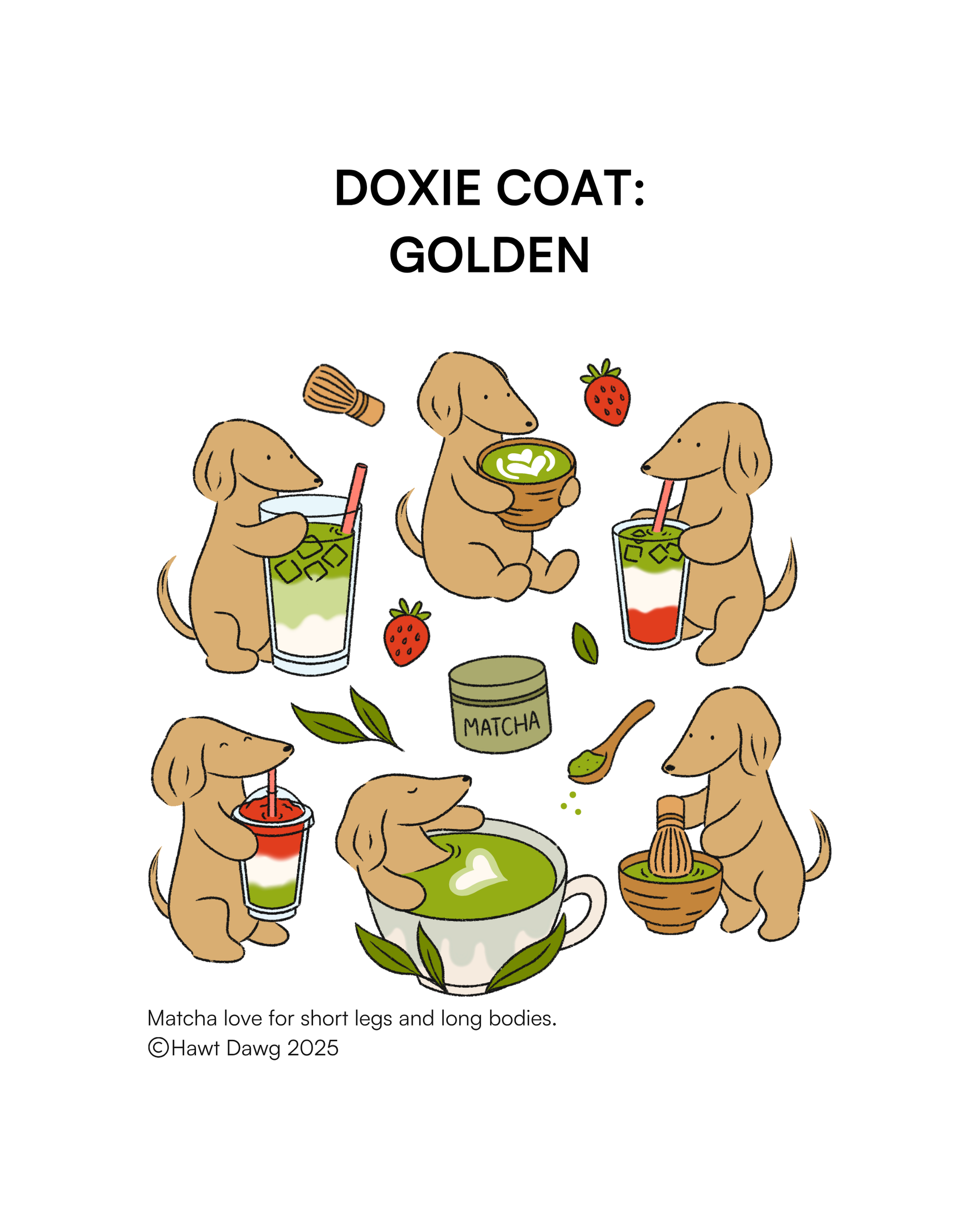 [PO] Doxies & Matcha Tee – KHAKI
