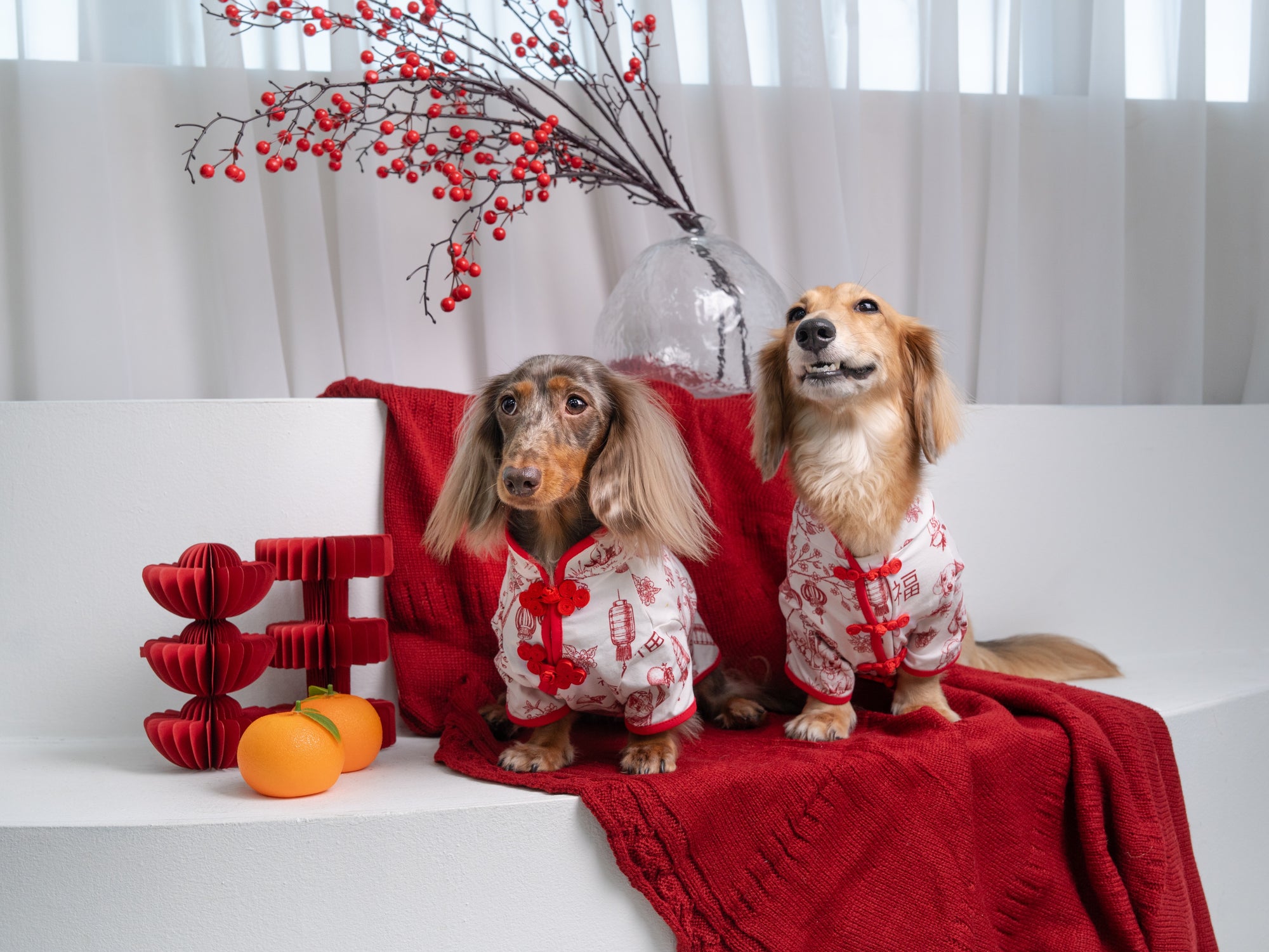 SPRINGTIDE-SOIRÉE SHAO