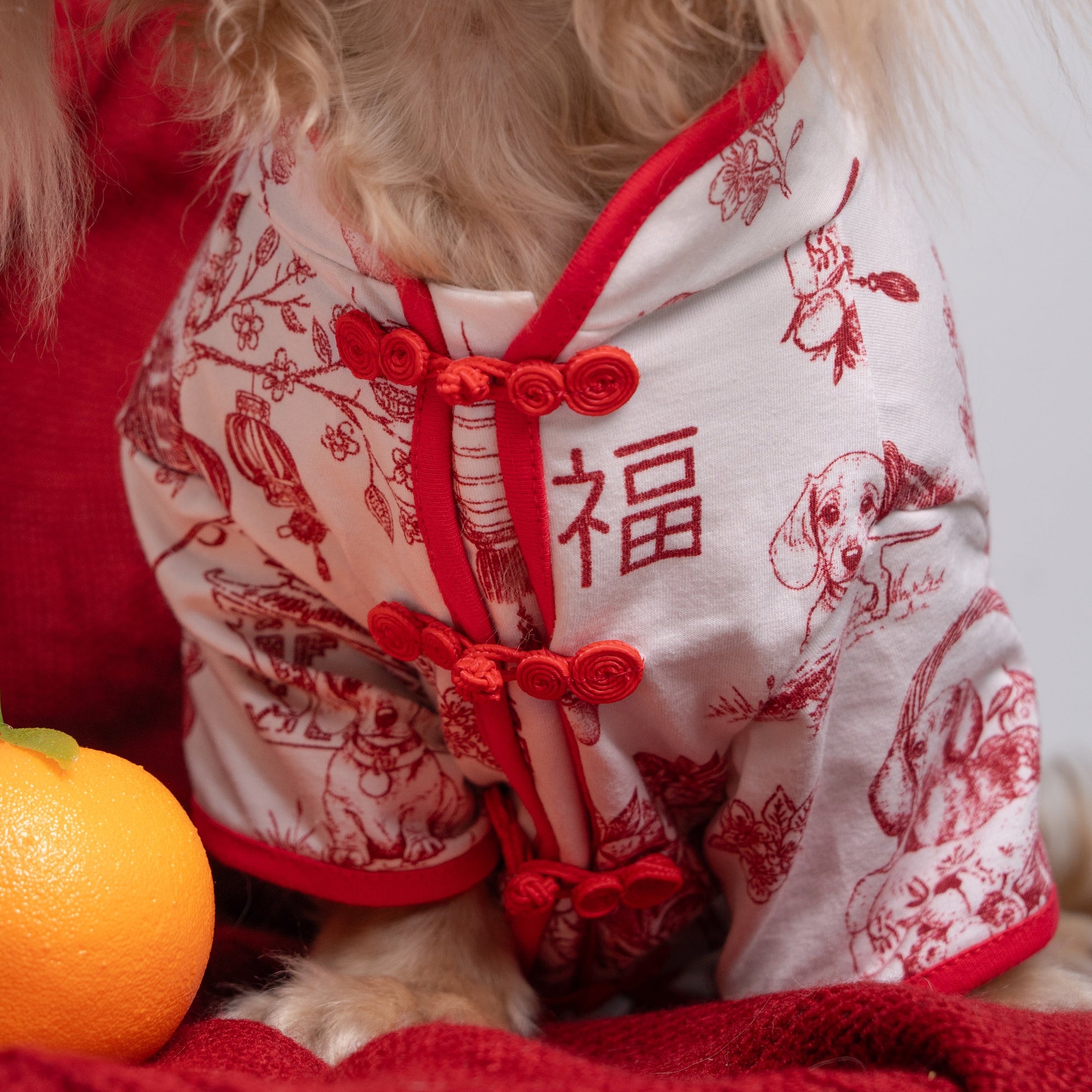 SPRINGTIDE-SOIRÉE SHAO