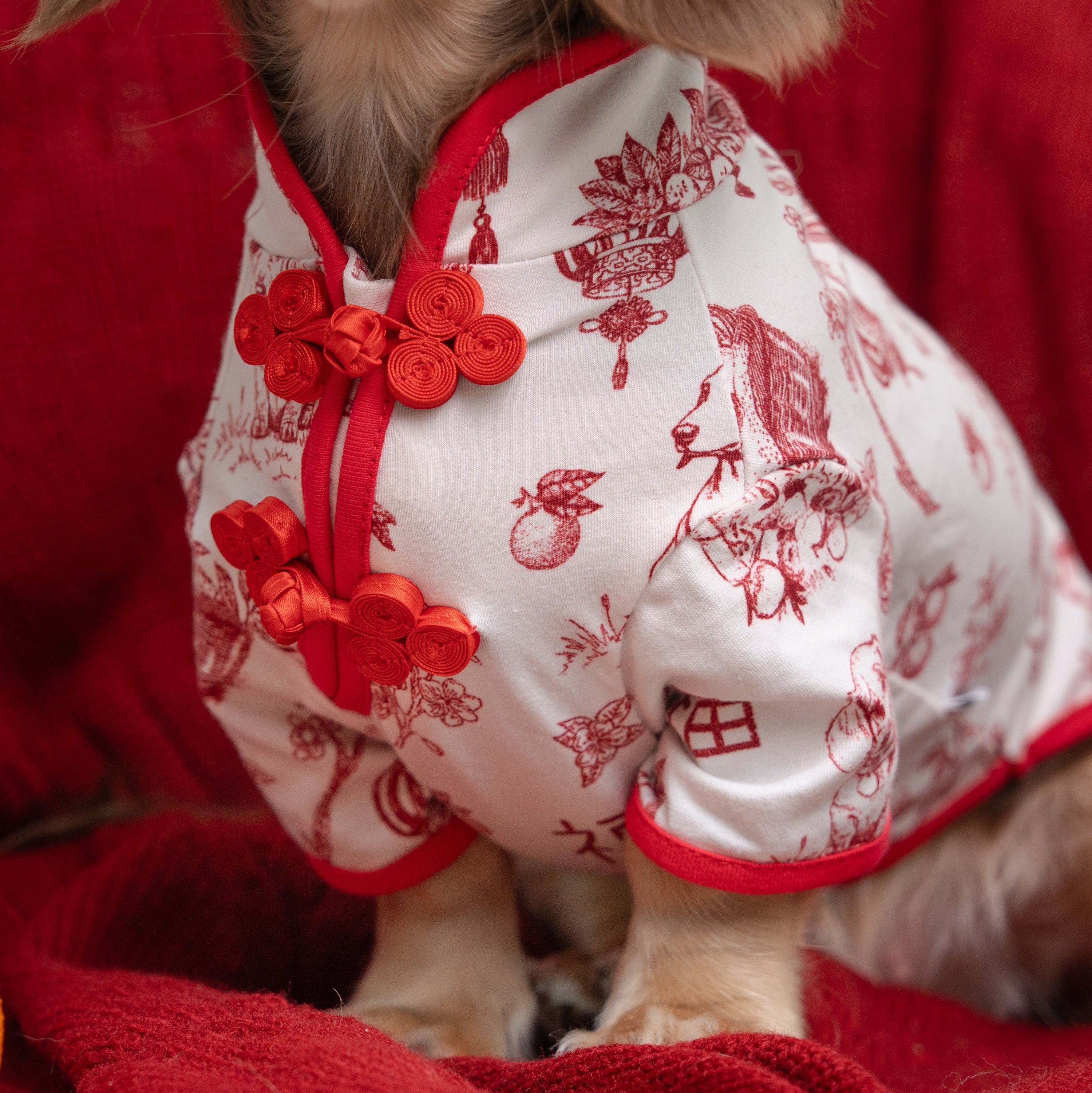 SPRINGTIDE-SOIRÉE SHU