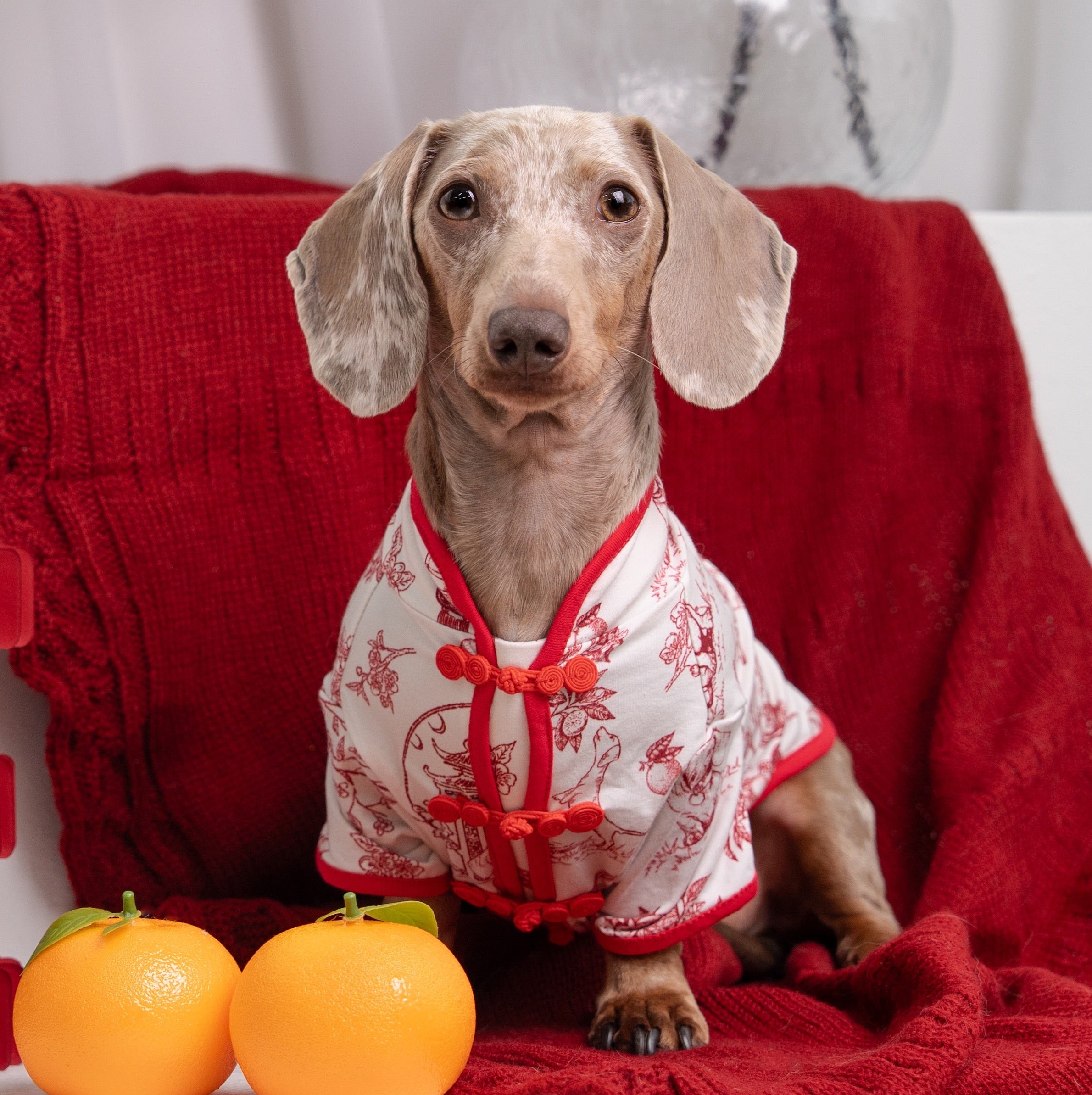 SPRINGTIDE-SOIRÉE SHAO