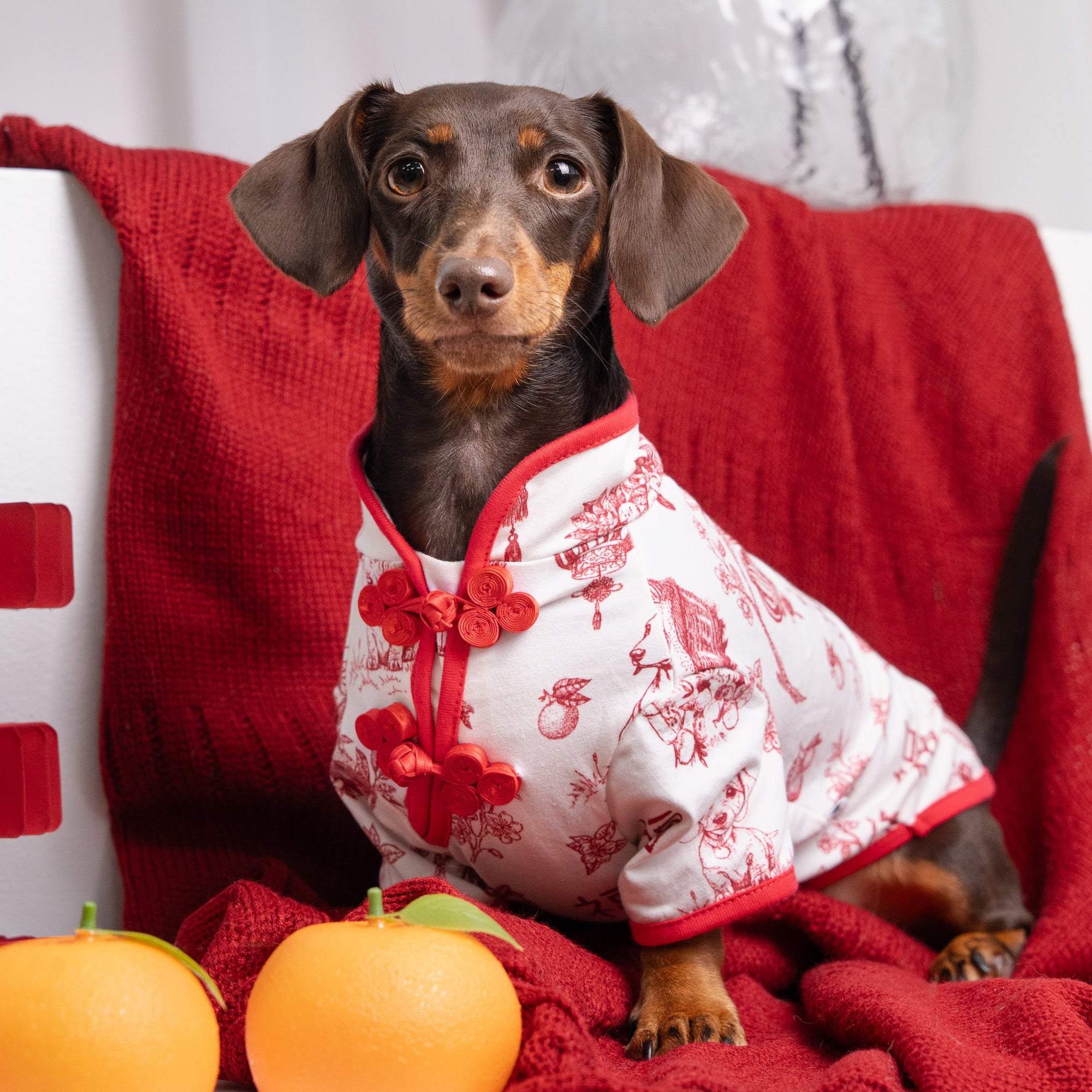 SPRINGTIDE-SOIRÉE SHU