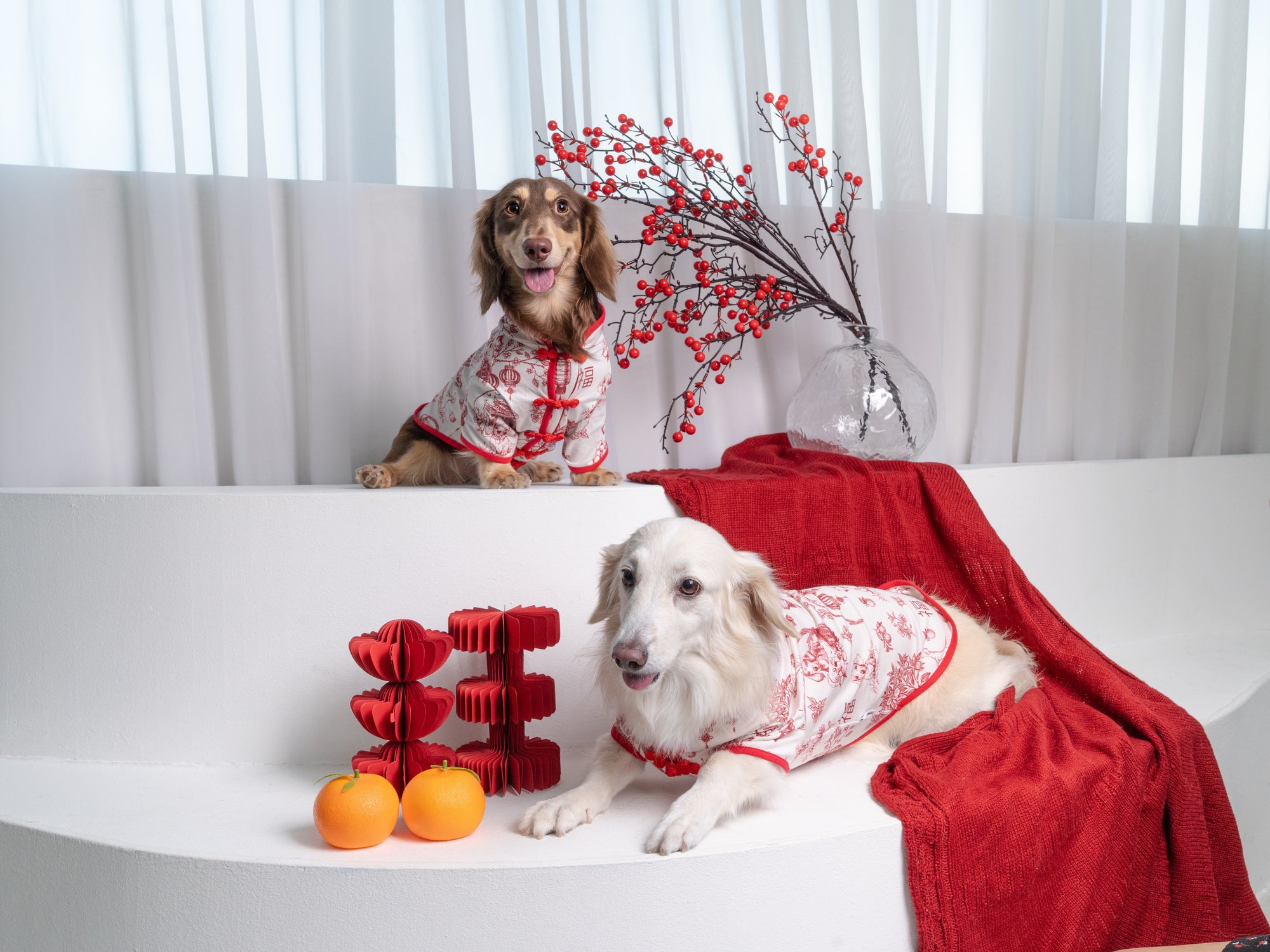 SPRINGTIDE-SOIRÉE SHU