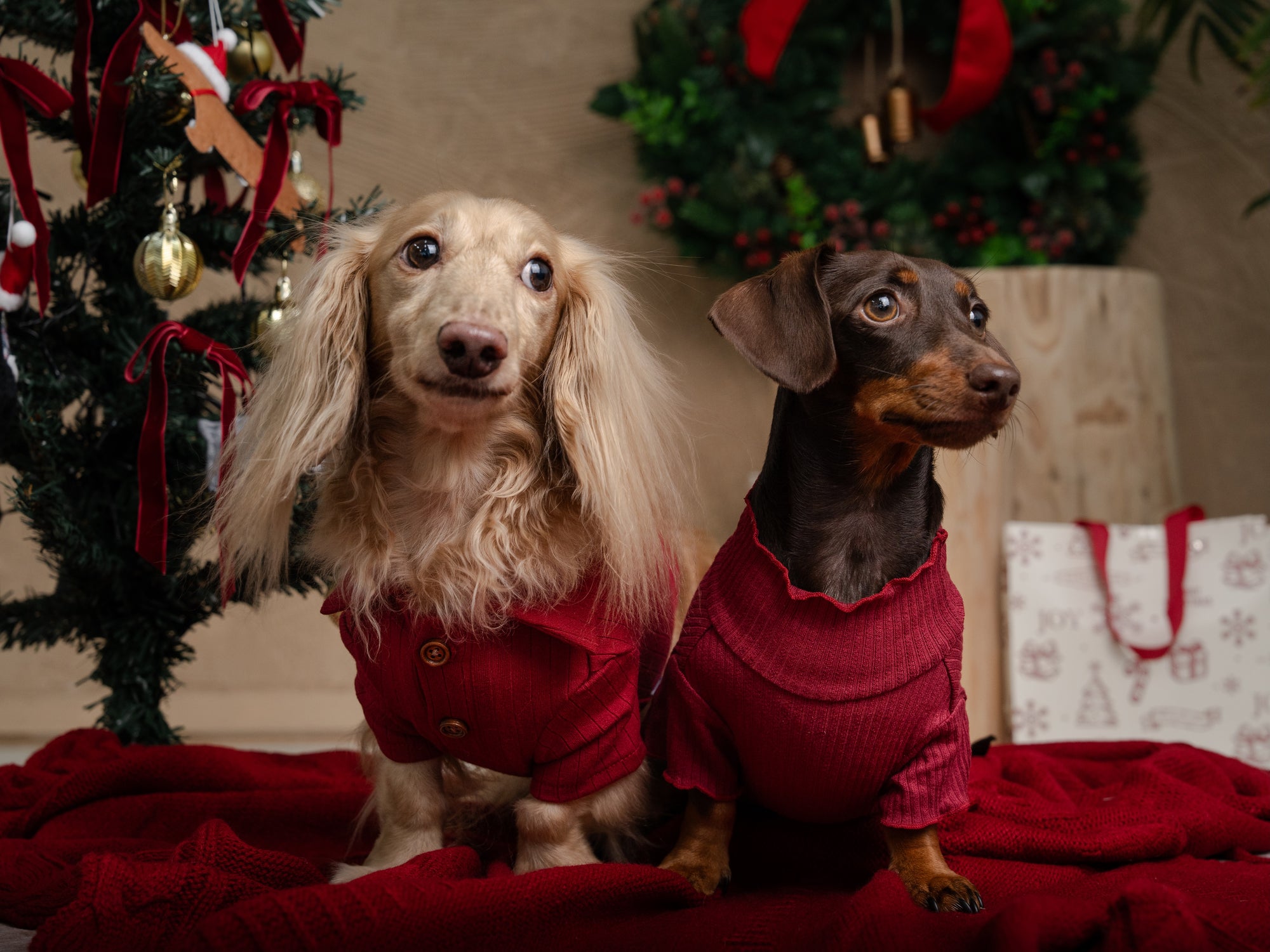 BUTTON-UP BENNY - XMAS EDITION