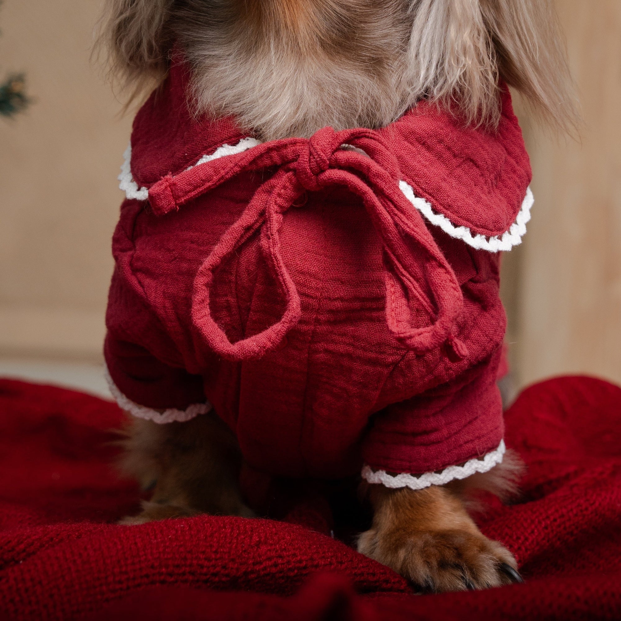 DAY-DREAMING DOTTIE - XMAS EDITION