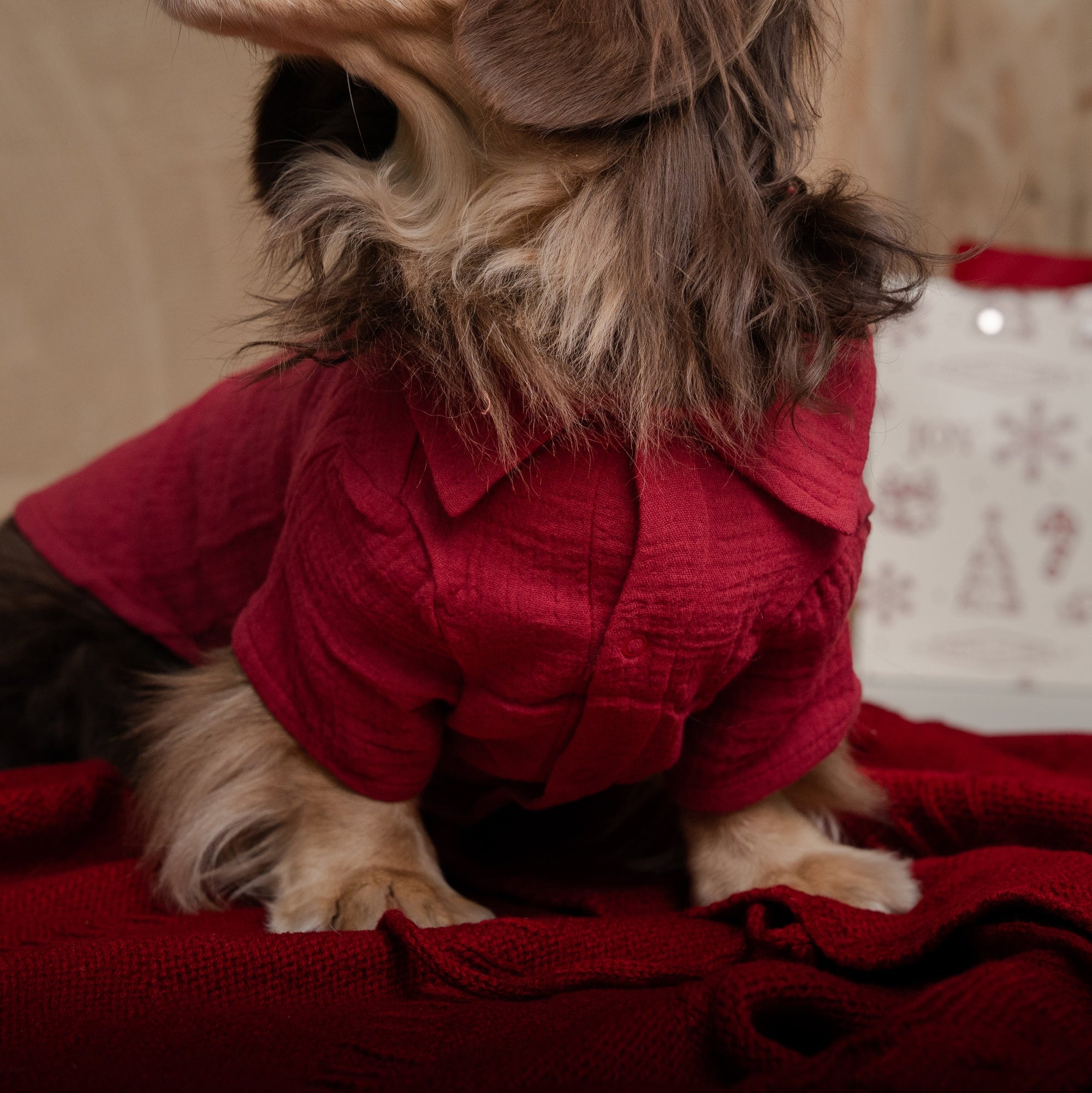 LAID-BACK LOUIE - XMAS EDITION