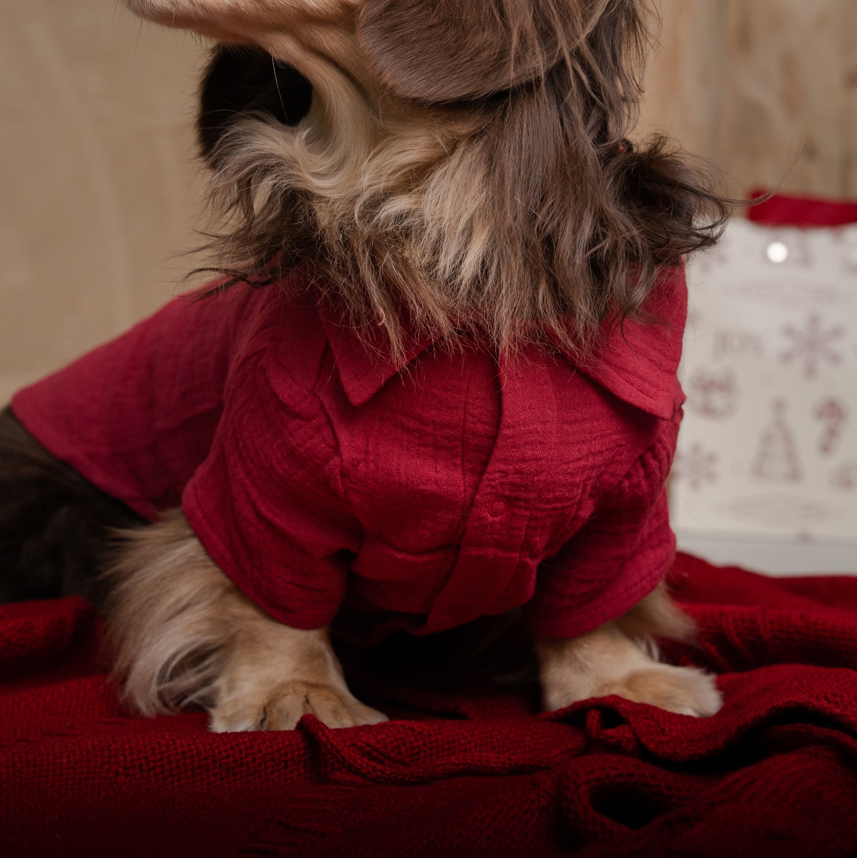 LAID-BACK LOUIE - XMAS EDITION