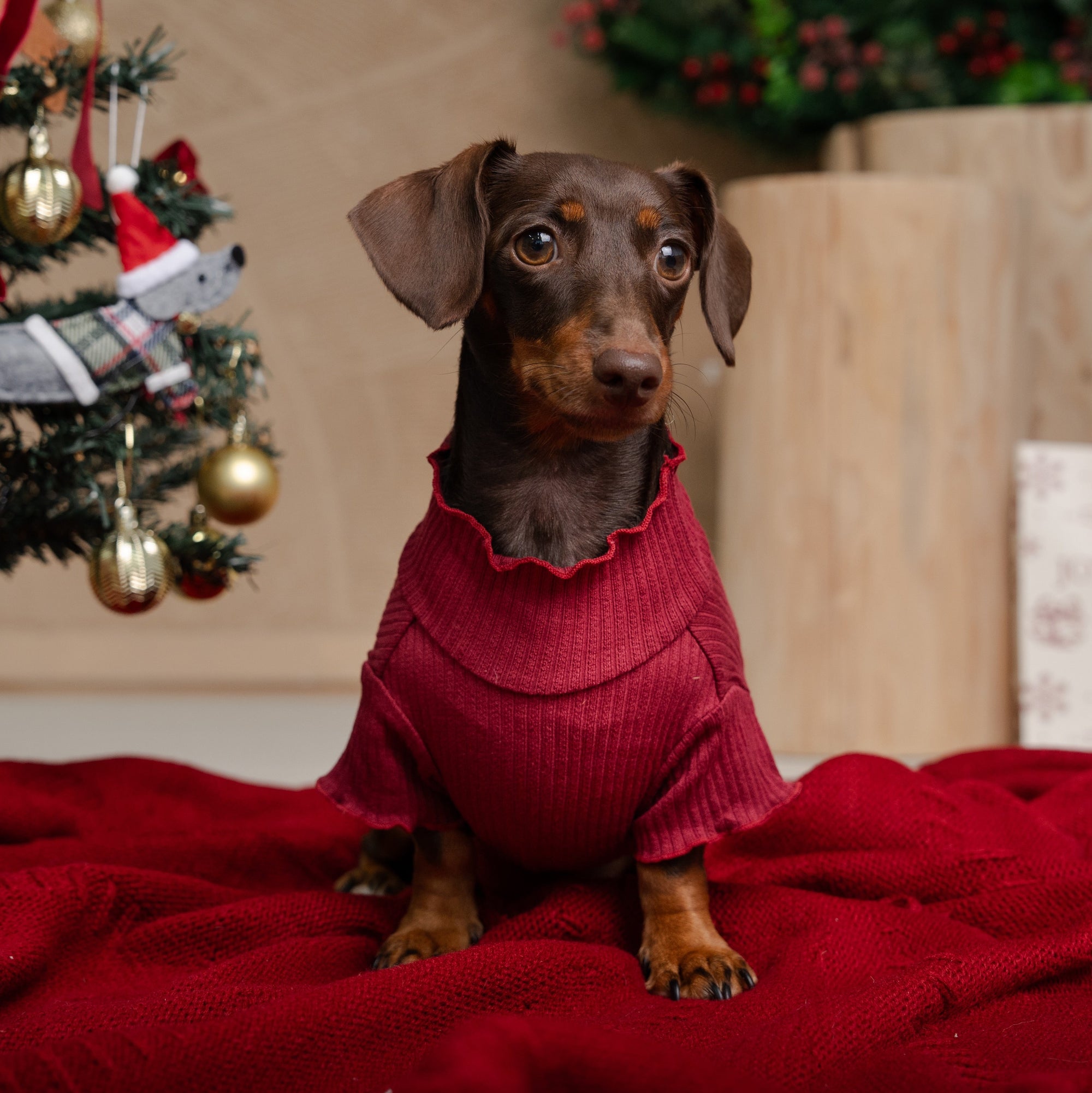 TEA-TIME TILLY - XMAS EDITION