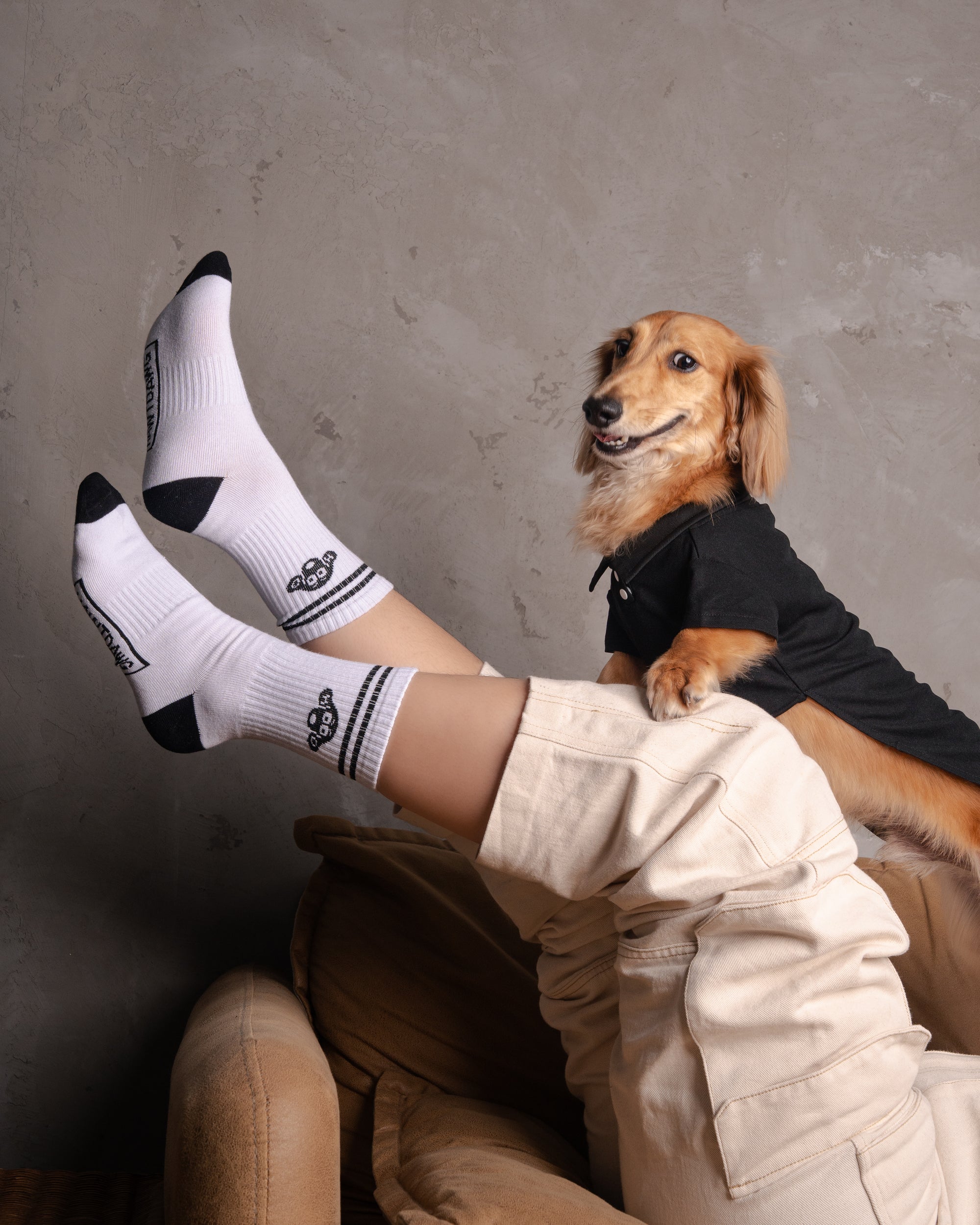 SOCK IT UP