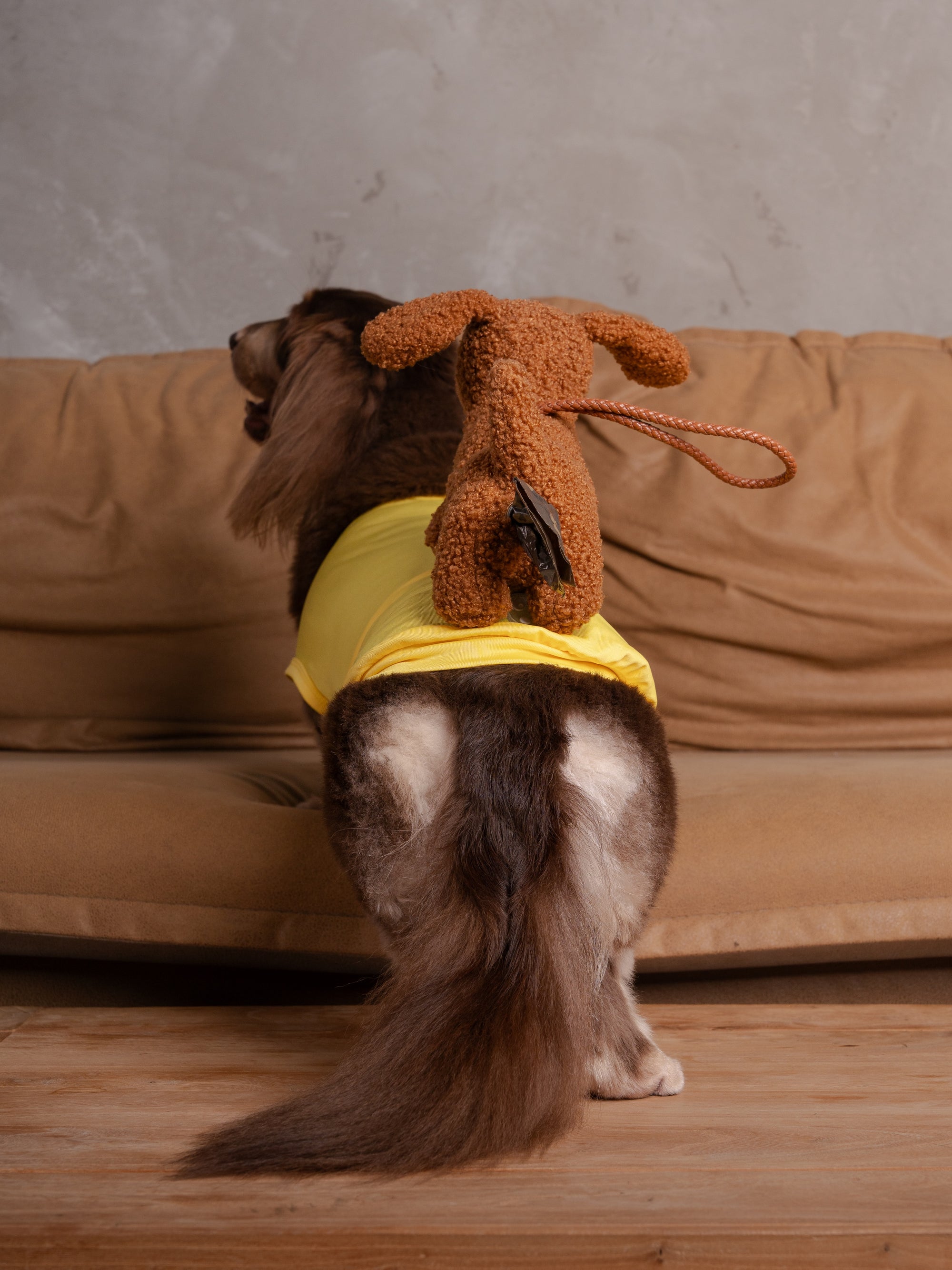 DOO-DOO DOXIE
