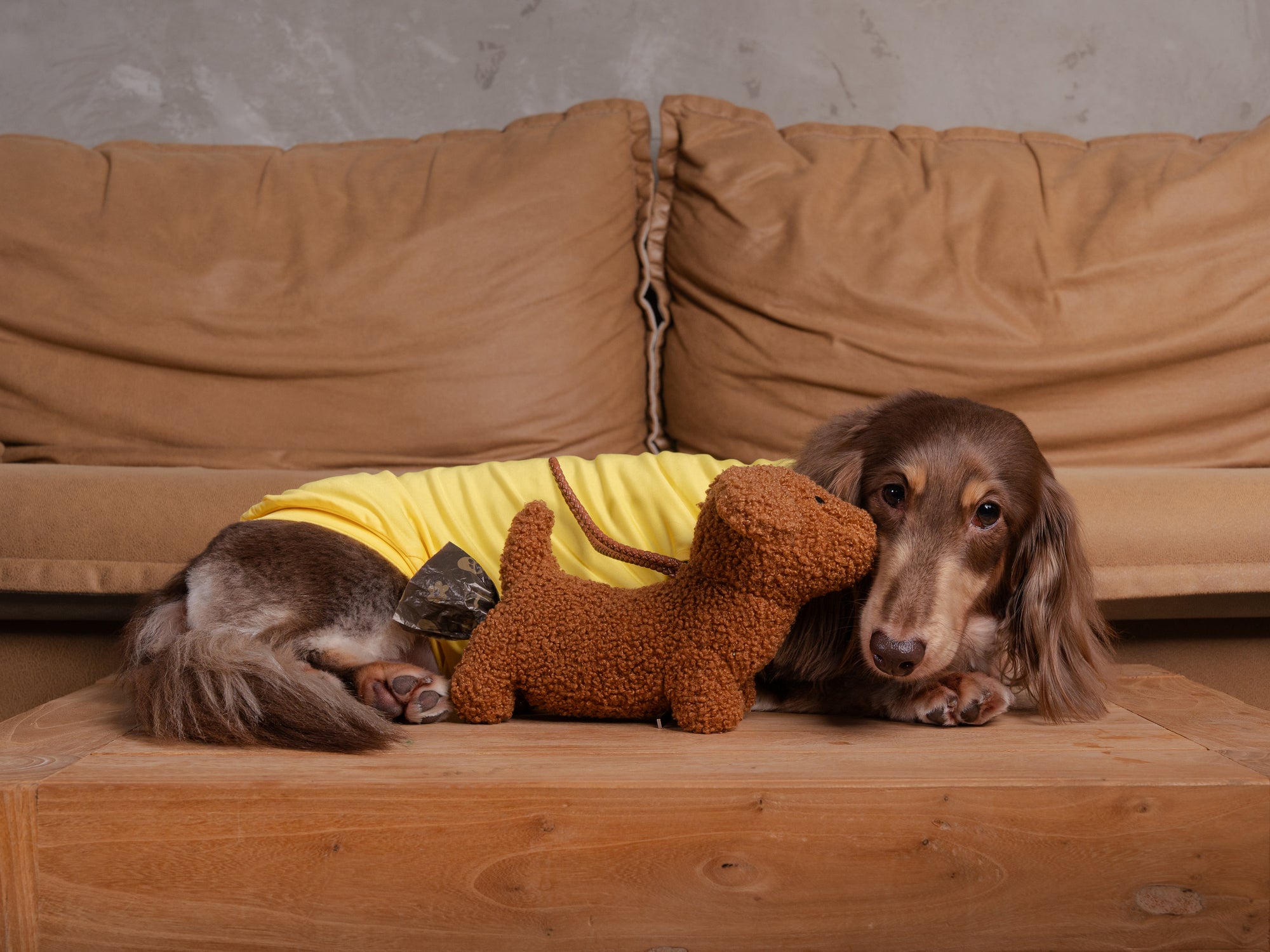 DOO-DOO DOXIE