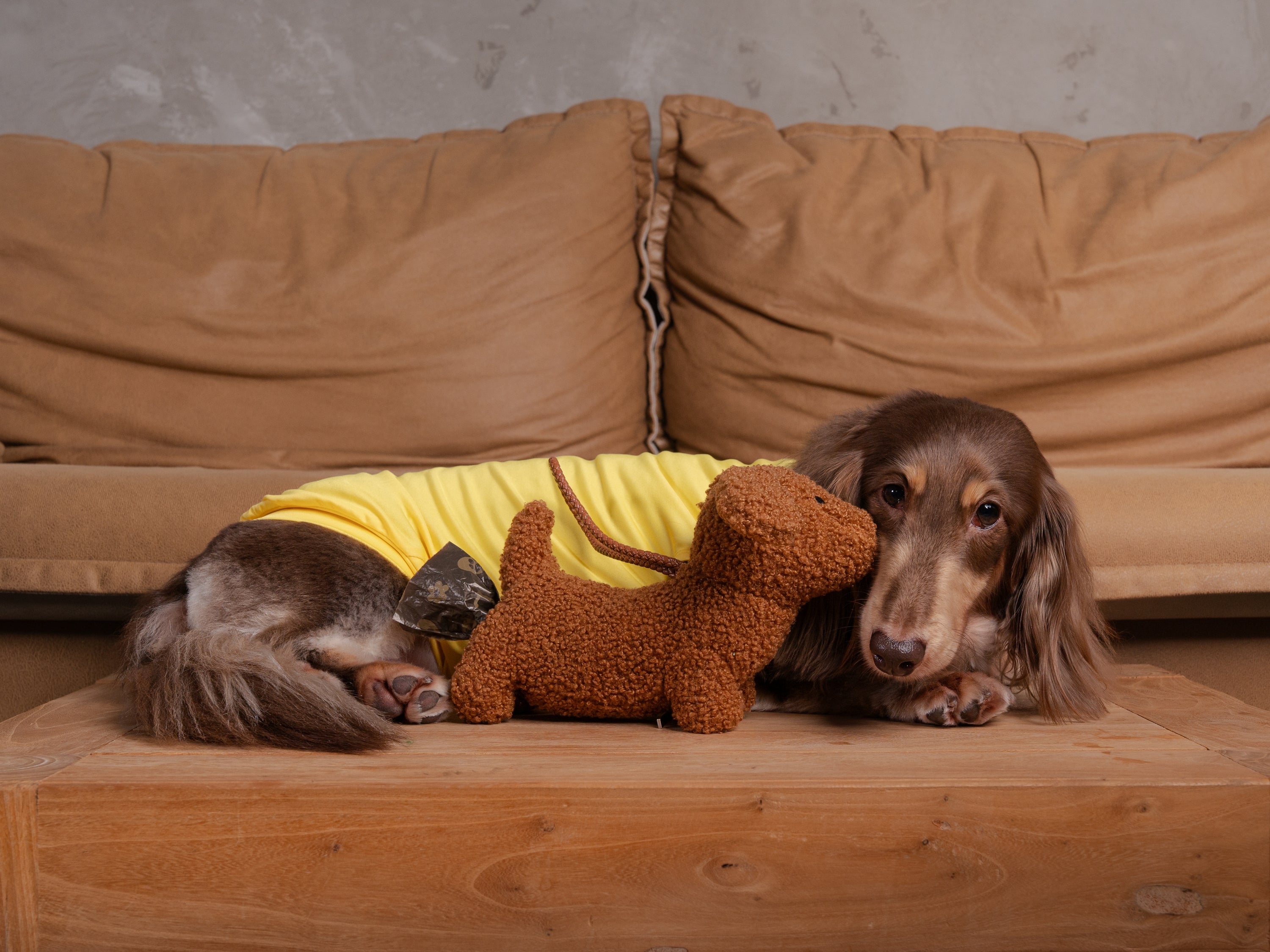 DOO-DOO DOXIE