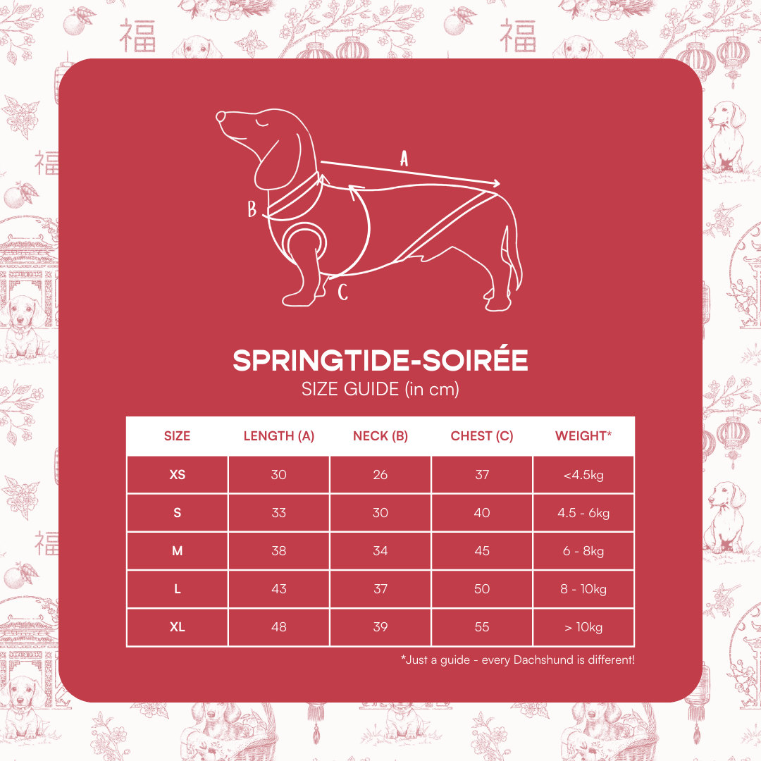 SPRINGTIDE-SOIRÉE SHAO